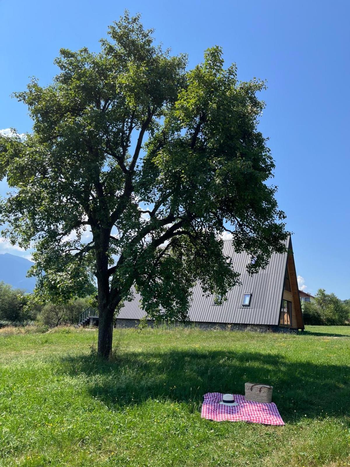 Vino Chalets Bran Sohodol  Экстерьер фото