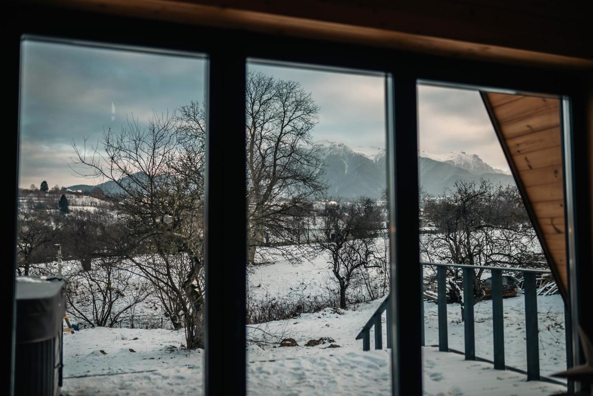 Vino Chalets Bran Sohodol  Экстерьер фото